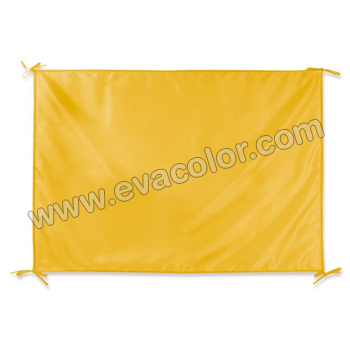 Artículos amarillos - Evacolor